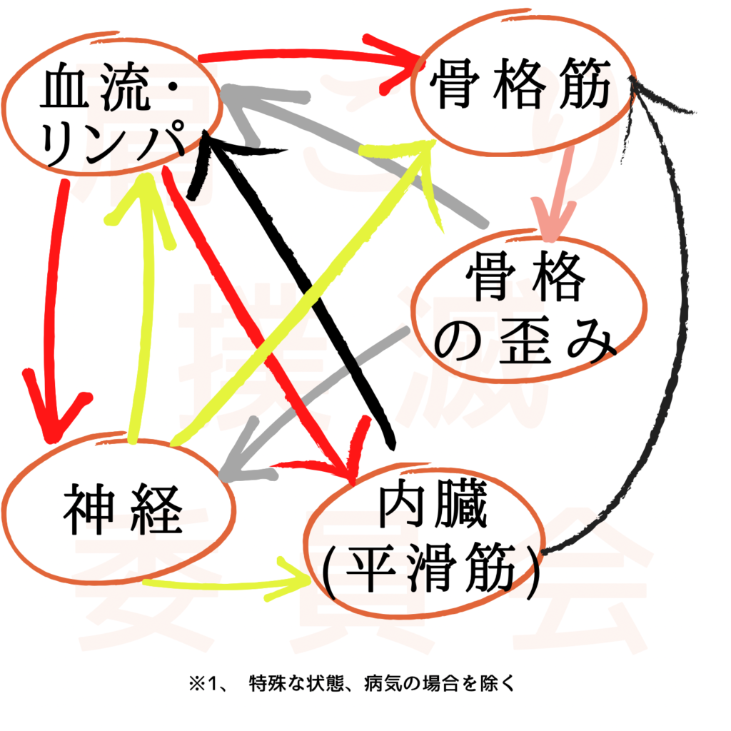 肩こりの原因と関連
※無断転載不可